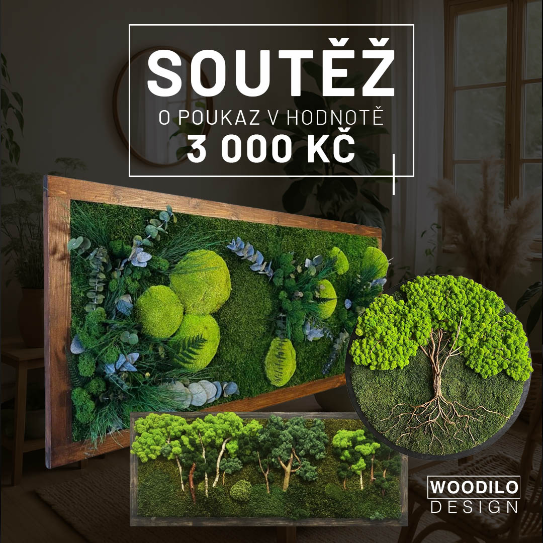 SOUTĚŽ - WOODILO